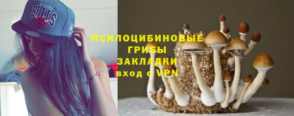 амф Краснотурьинск