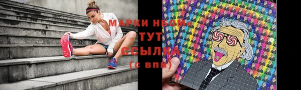 молекула духа Краснослободск