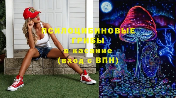 амф Краснотурьинск