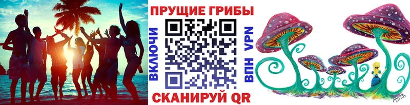 где найти   Абдулино  Галлюциногенные грибы GOLDEN TEACHER 